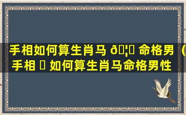 手相如何算生肖马 🦈 命格男（手相 ☘ 如何算生肖马命格男性）